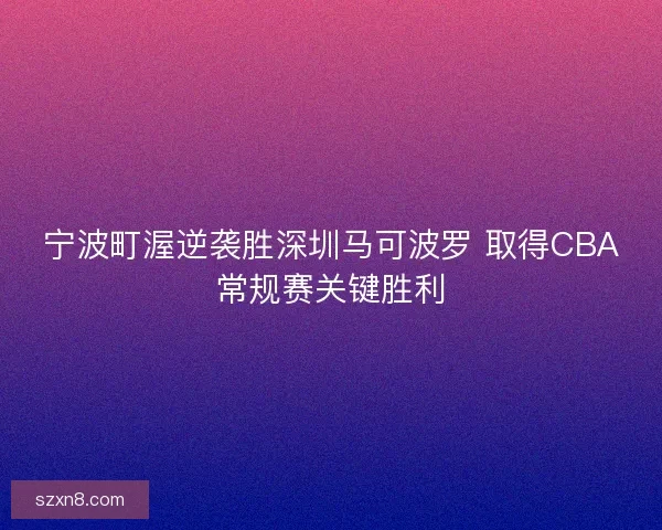 宁波町渥逆袭胜深圳马可波罗 取得CBA常规赛关键胜利
